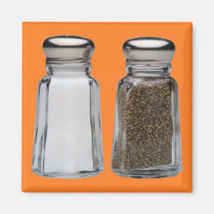 Salt and Pepper Magnet