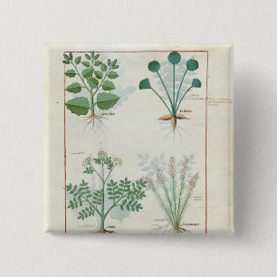 Salt Bush and Anthora Absinthium and Cardamom 15 Cm Square Badge