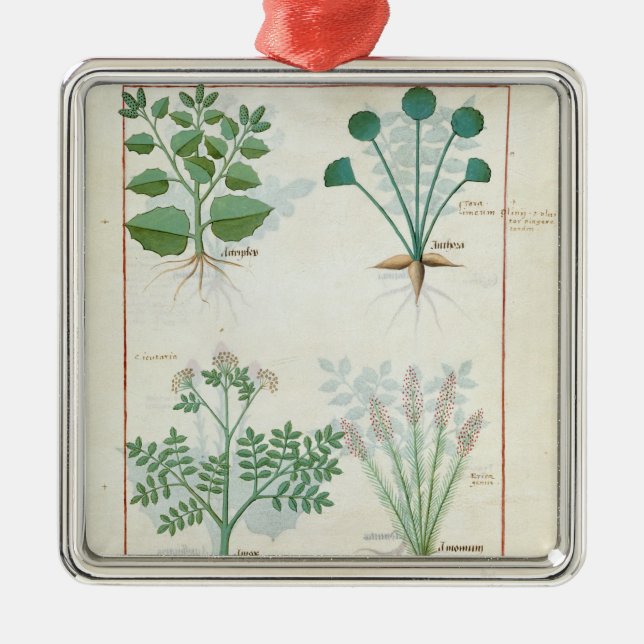 Salt Bush and Anthora Absinthium and Cardamom Metal Tree Decoration (Front)