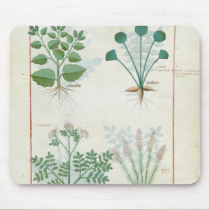 Salt Bush and Anthora Absinthium and Cardamom Mouse Mat