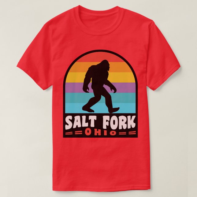 Salt Fork State Park Ohio T-Shirt (Design Front)