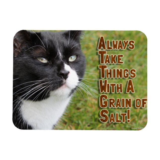 Salt Grain Motivation Cat Encouraging Quote Magnet (Horizontal)