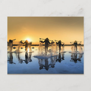 Salt Harvesting in Vietnam Postcard