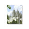 Salt Lake City LDS Temple