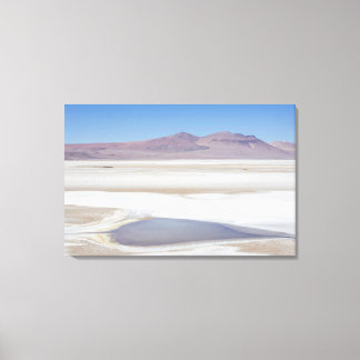 Salt Lake On The Road To Argentina Canvas Print