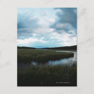 Salt marsh postcard