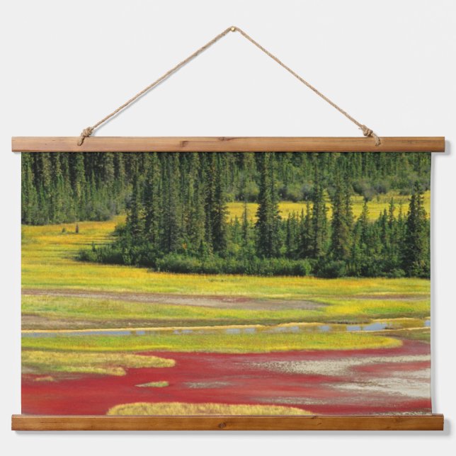 Salt Plain & Forest | Wood Buffalo National Park Hanging Tapestry (Front)