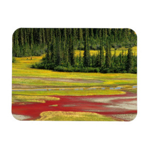 Salt Plain & Forest Wood Buffalo National Park Magnet