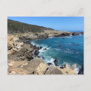 Salt Point State Park, California Postcard