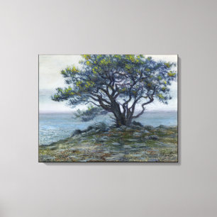 “Salt Point Tree” Canvas Print