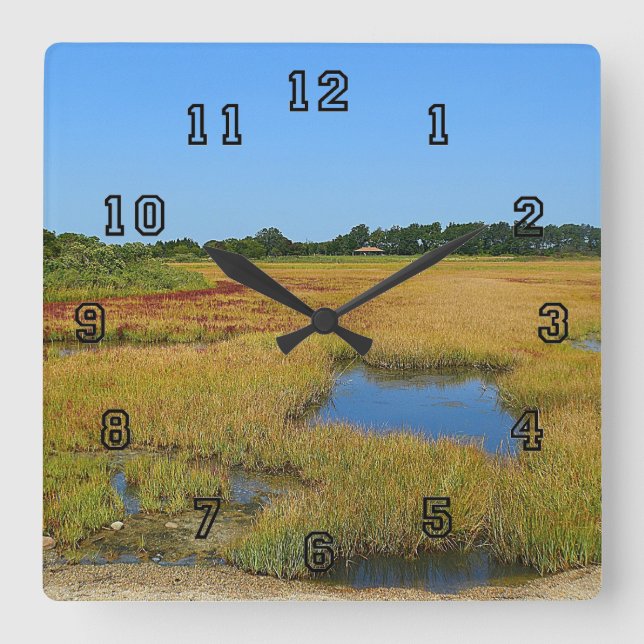 Salt Water Marsh Wall Clock (Front)
