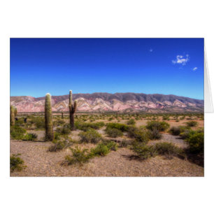 Salta Argentina Cactus Plants And Barren Hill