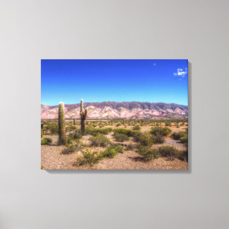 Salta Argentina Cactus Plants And Barren Hill Canvas Print
