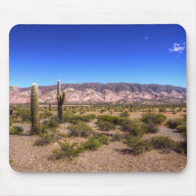 Salta Argentina Cactus Plants And Barren Hill Mouse Mat (Front)