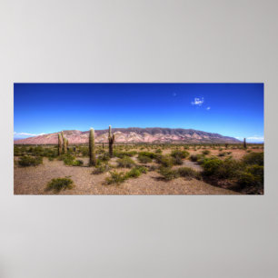 Salta Argentina Cactus Plants And Barren Hill Poster