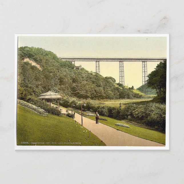 Saltburn-by-the-Sea, the gardens, Yorkshire, Engla Postcard (Front)