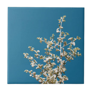 Saltbush Leaves Sky Frame Minimalistic Tile