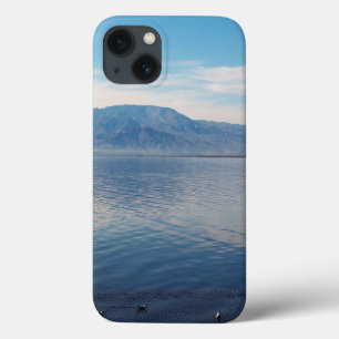 Salton Sea iPhone Cases