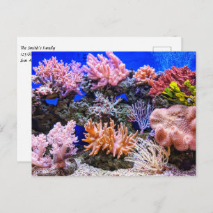 Saltwater Aquarium - Coral Reef Postcard