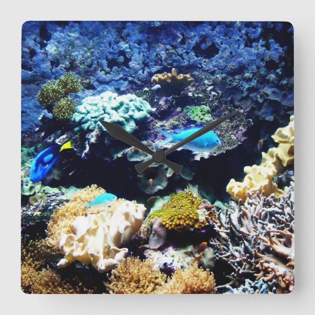 Saltwater aquarium Square clock (Front)