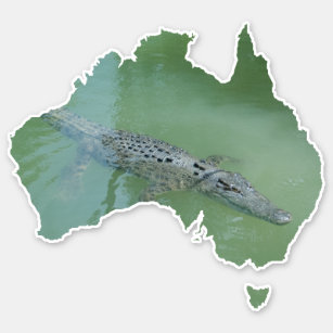 Saltwater Crocodile Croc Australia Shape
