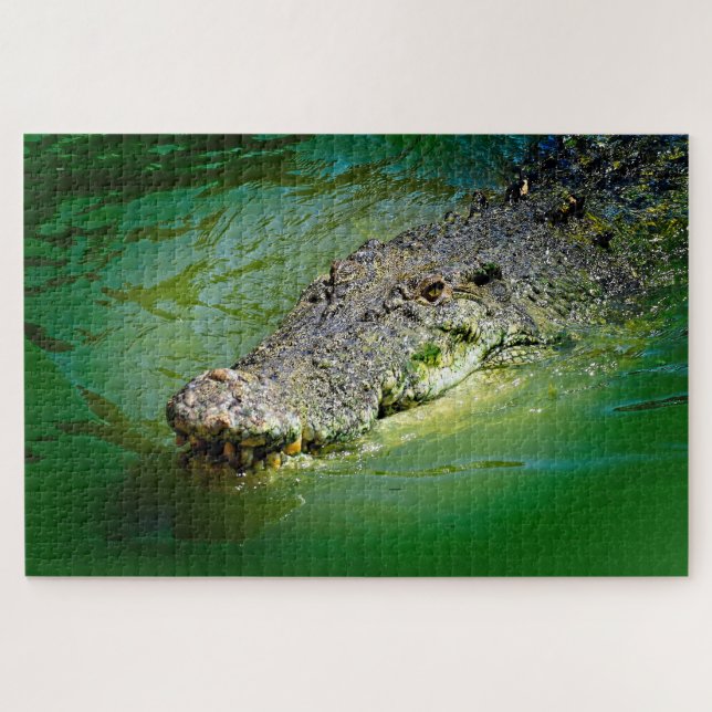 Saltwater Crocodile in Swampy waters Jigsaw Puzzle (Horizontal)