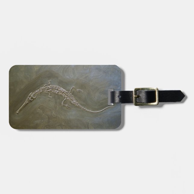 Saltwater Crocodile Skeleton Steneosaurus Luggage Tag (Front Horizontal)