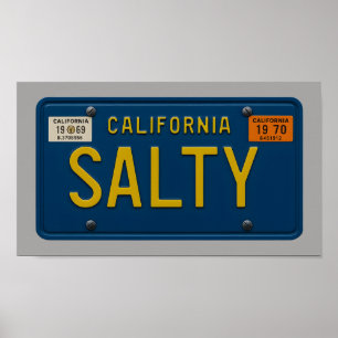 Salty - Retro 1969 California License Plate Art Poster