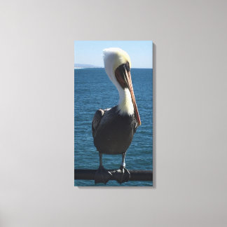 Salty Sea Pelican Canvas Print
