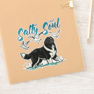 Salty Soul – Newfoundland Coastal Design