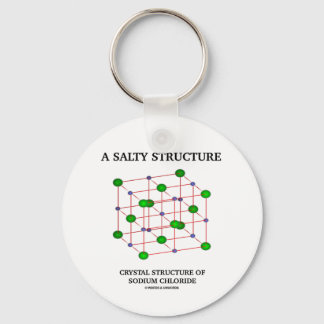 Salty Structure Crystal Structure Sodium Chloride Key Ring