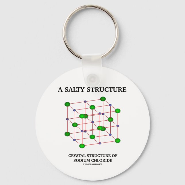 Salty Structure Crystal Structure Sodium Chloride Key Ring (Front)
