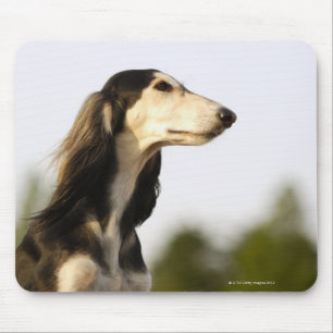 Saluki 2 mouse mat