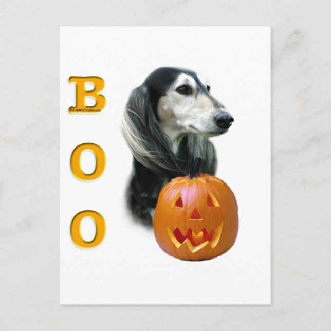Saluki Boo Postcard (Front)