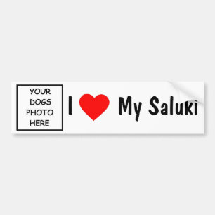 Saluki Bumper Sticker