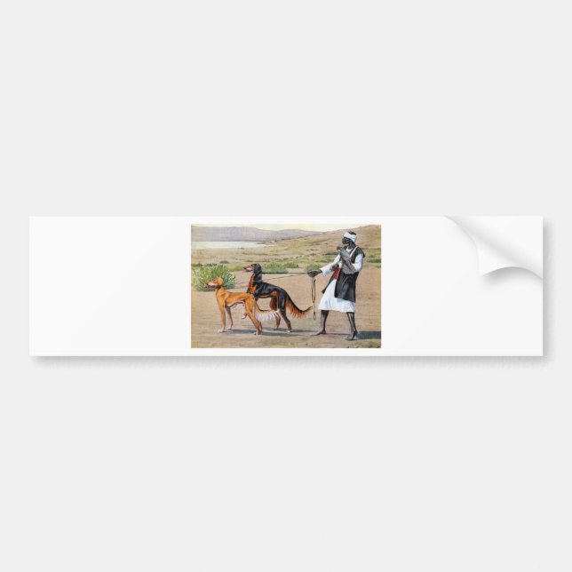 saluki bumper sticker (Front)