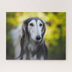 Saluki Dog Jigsaws. Jigsaw Puzzle