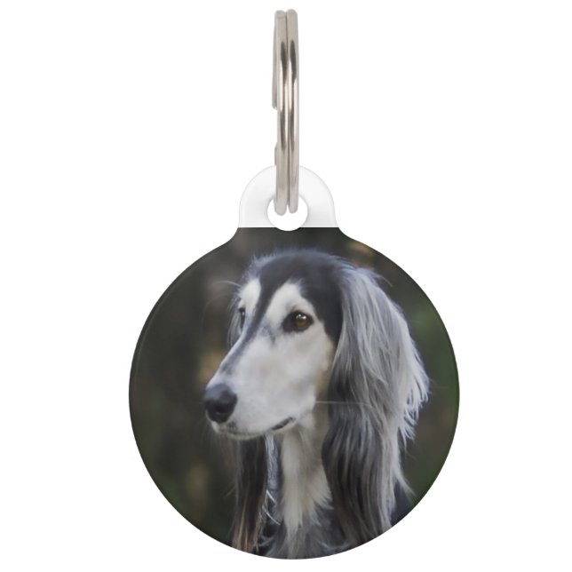 Saluki Dog. Pet Tag (Front)