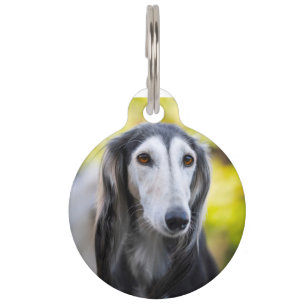 Saluki Dog Pet Tag
