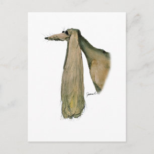 saluki dog, tony fernandes postcard