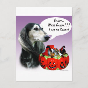 Saluki Halloween Candy Postcard