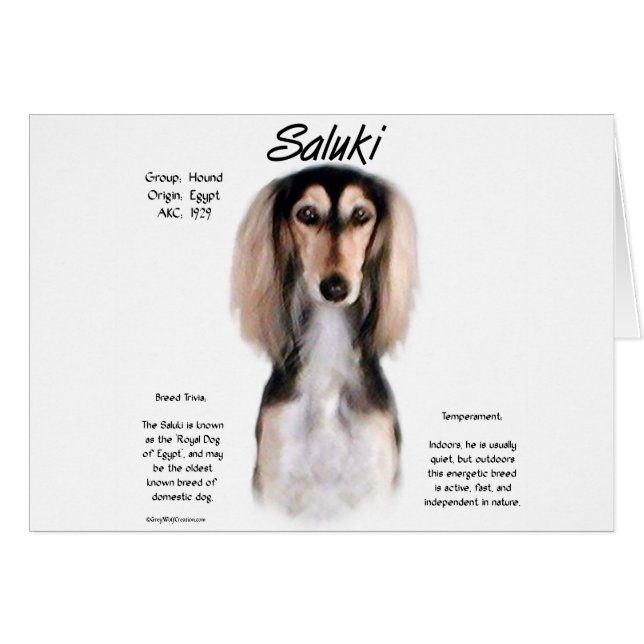 Saluki History Design (Front Horizontal)