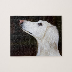 Saluki Looking Up Jigsaw Puzzle