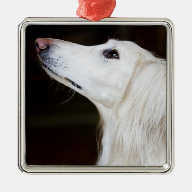 Saluki Looking Up Metal Tree Decoration (Front)