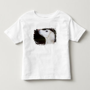 Saluki Looking Up Toddler T-Shirt