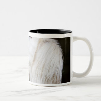 Saluki Looking Up Two-Tone Coffee Mug