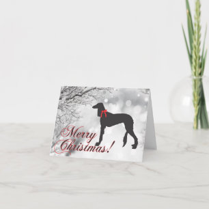 Saluki Merry Christmas Card