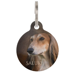 Saluki Pet Tag