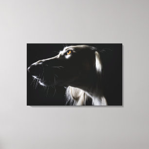 Saluki, portrait canvas print