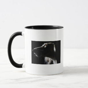 Saluki, portrait mug